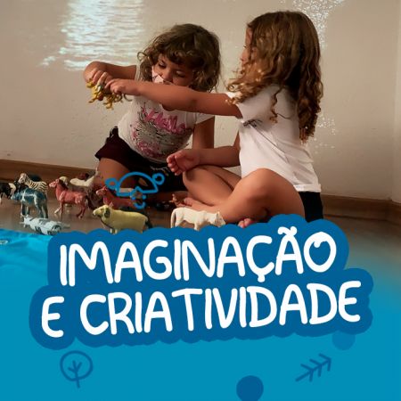 Imaginao e criatividade