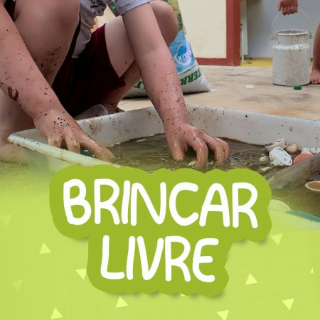 Brincar Livre maior